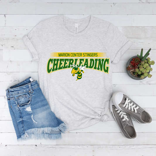 School Mascot Cheerleading